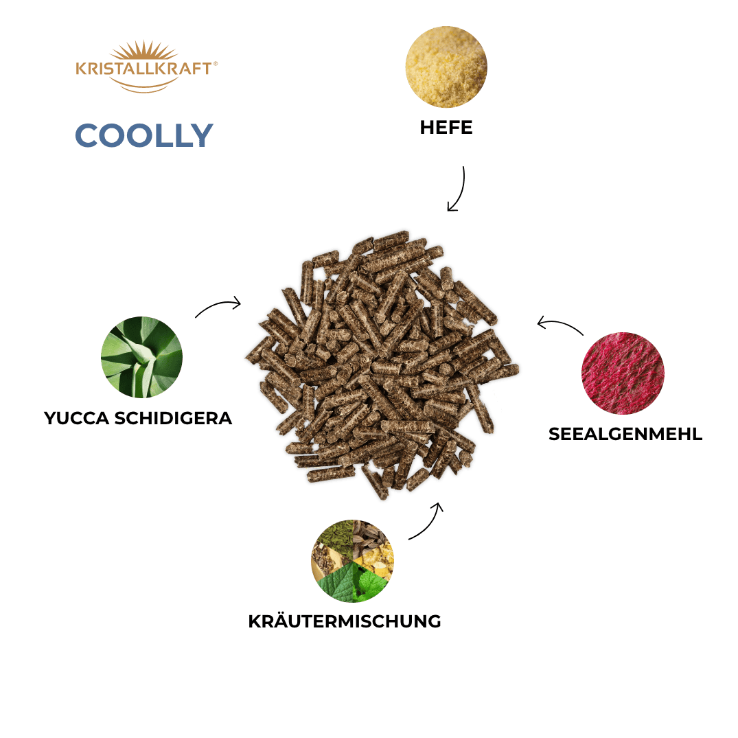 Kristallkraft Belly Bundle Coolly Benefits