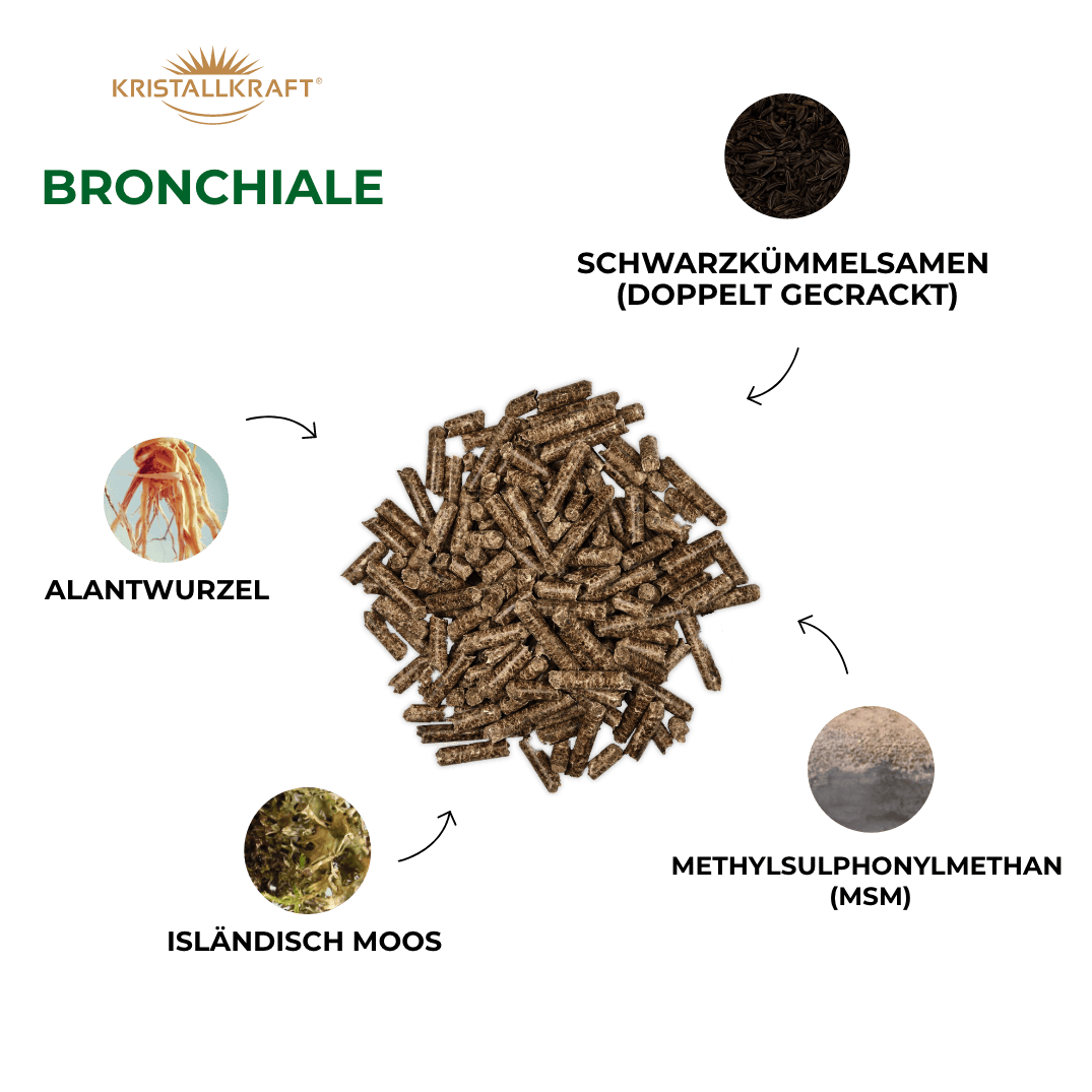 Kristallkraft Brotox Benefits