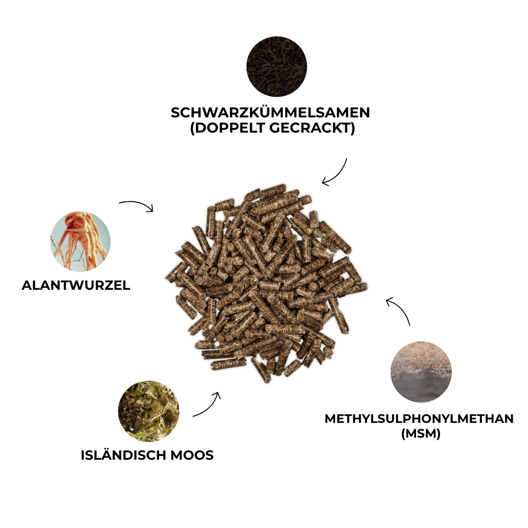 Kristallkraft Bronchiale
