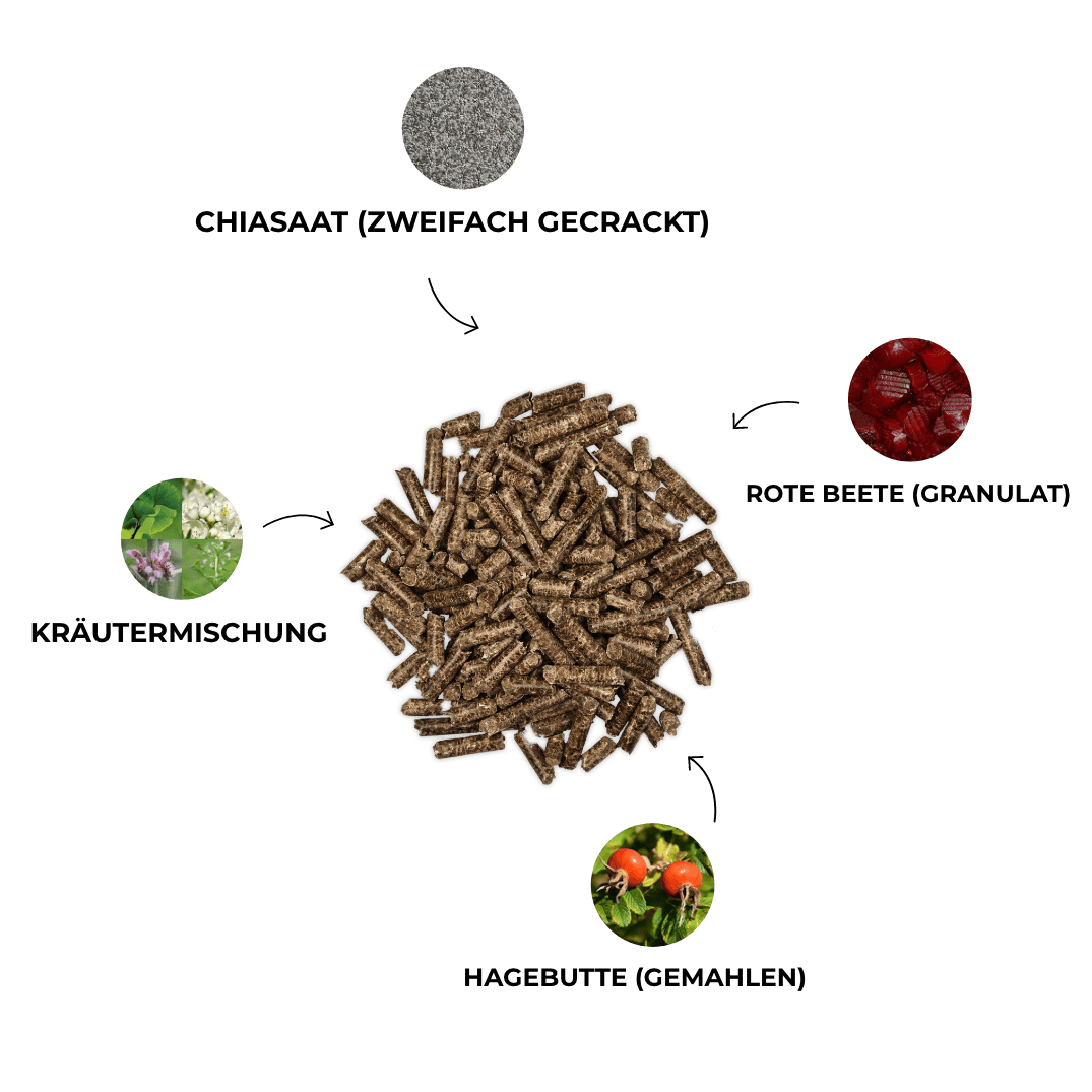 Kristallkraft Core Benefits