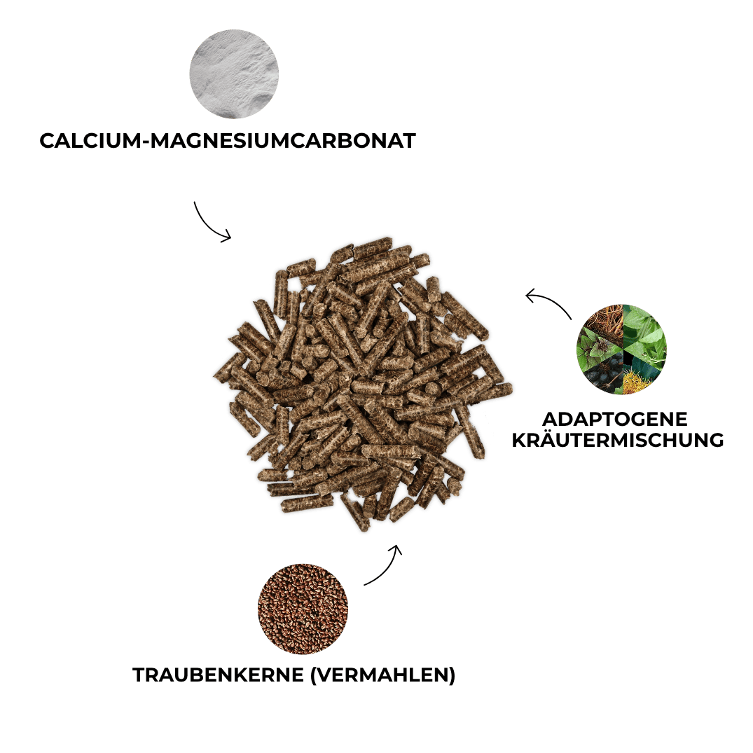 Kristallkraft Mental Balance Benefits