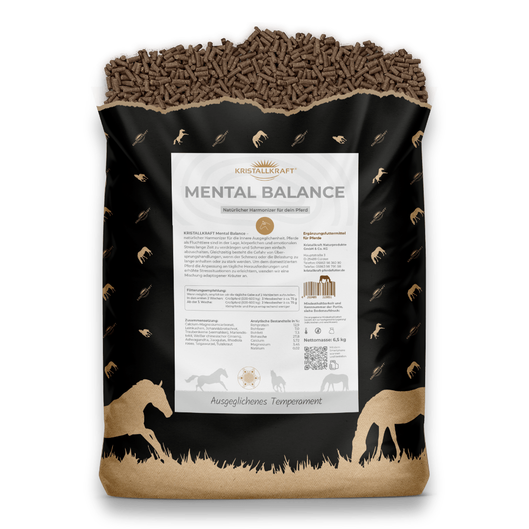 Kristallkraft Mental Balance