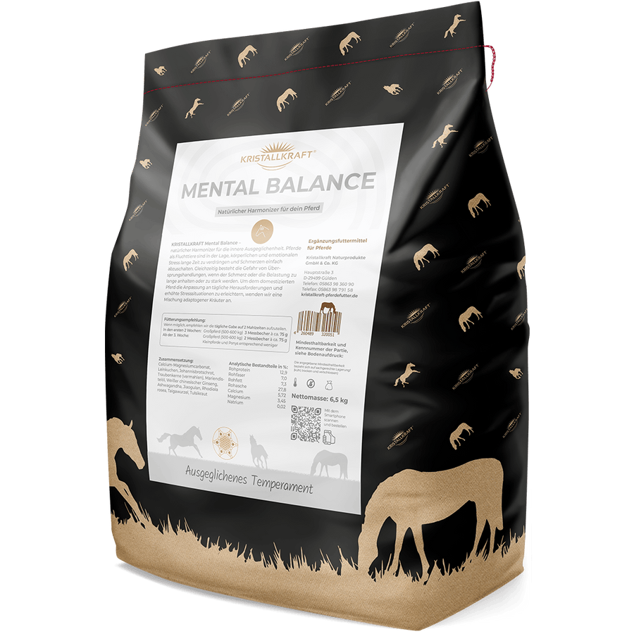 Kristallkraft Mental Balance