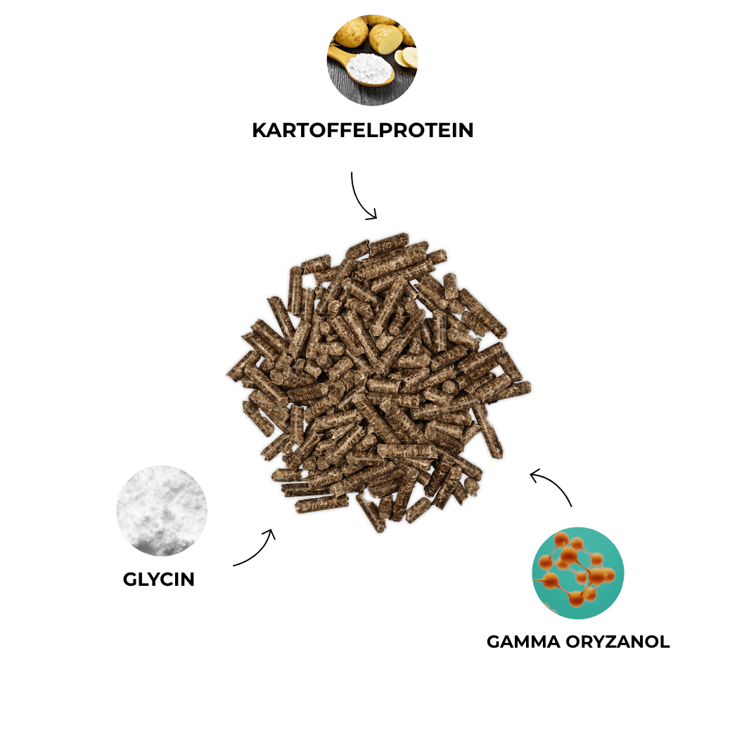 Kristallkraft Muscolo Benefits
