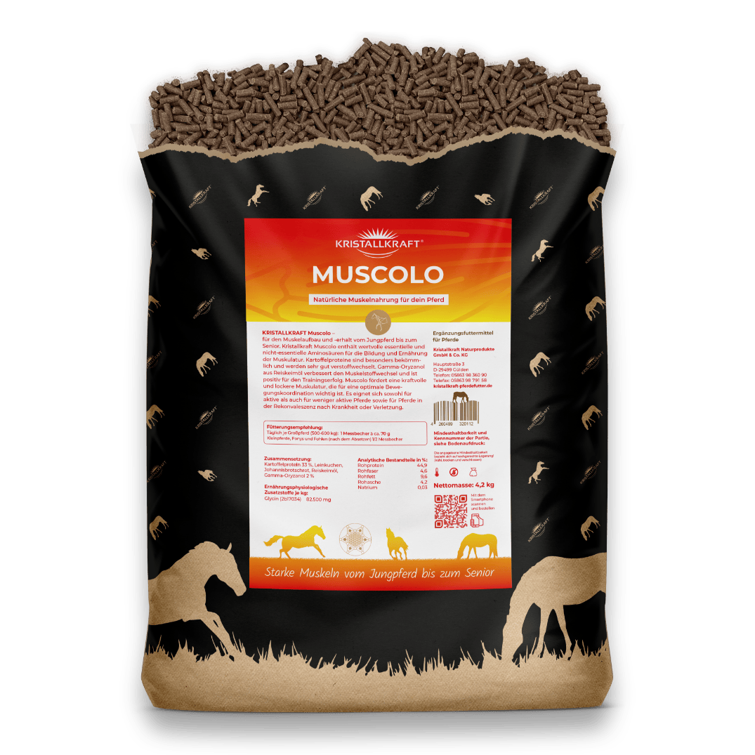 Kristallkraft Muscolo