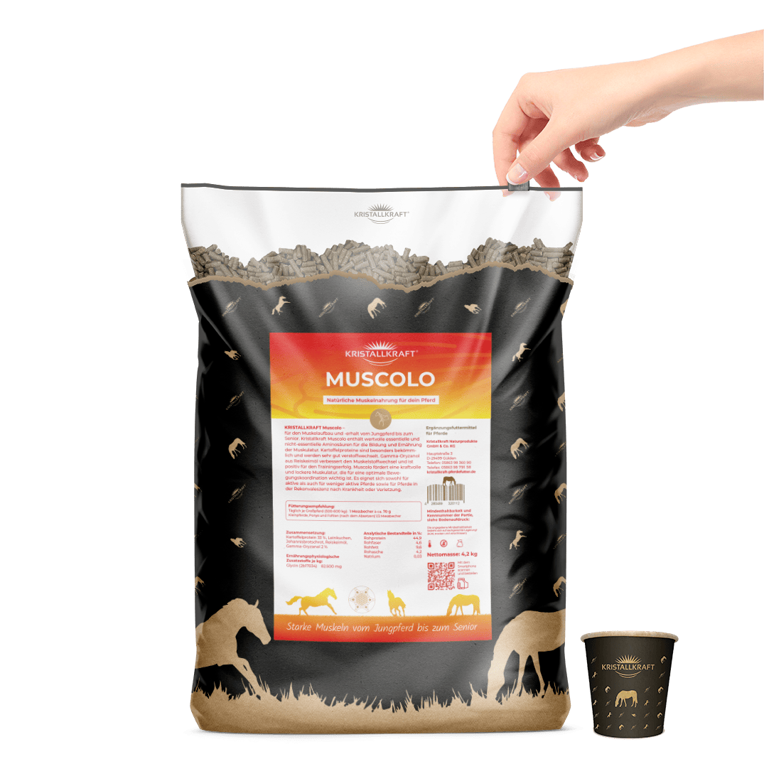 Kristallkraft Muscolo Umweltsack