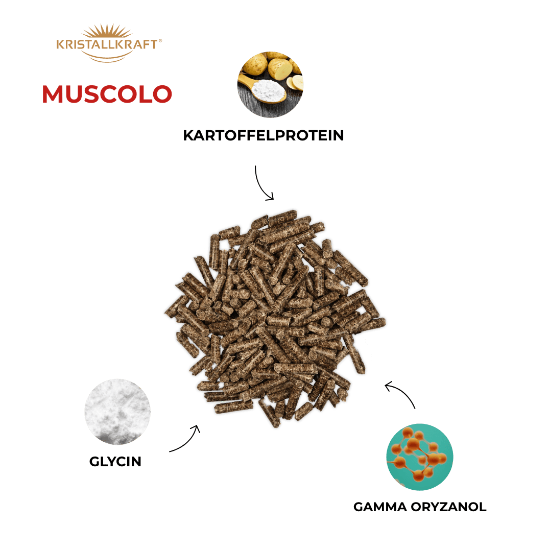 Kristallkraft Sport Bundle Muscolo Benefits