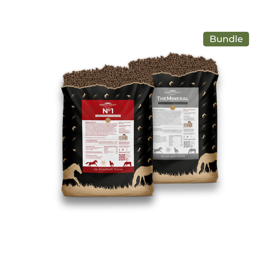Basic Bundle