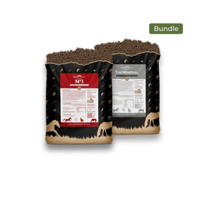 Basic Bundle