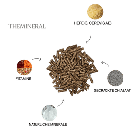 Basic Bundle