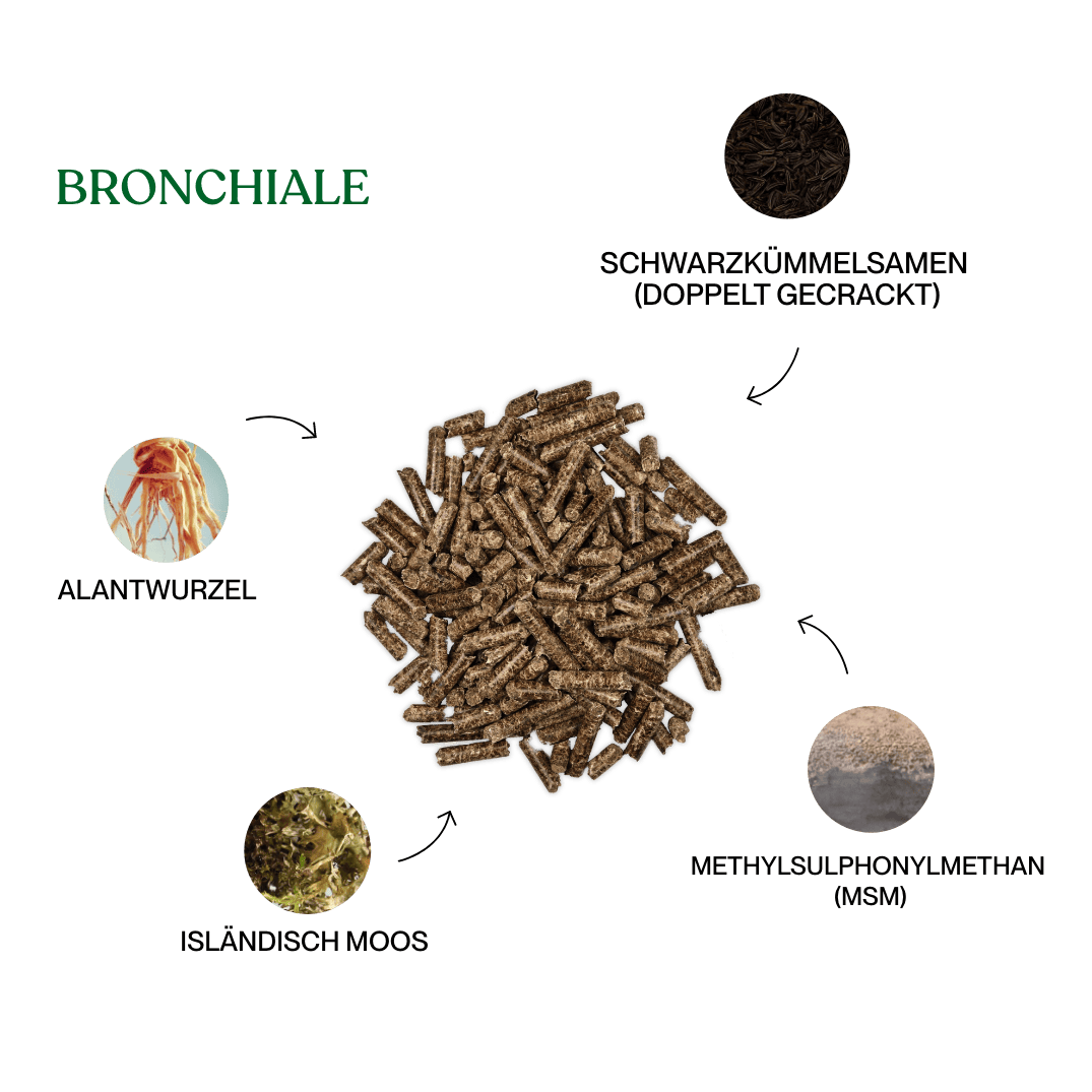 Brotox