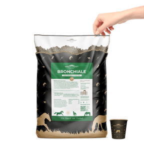 Brotox Umweltsack