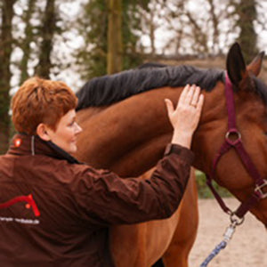 Kerstin Totterer, Pferdeosteopathin