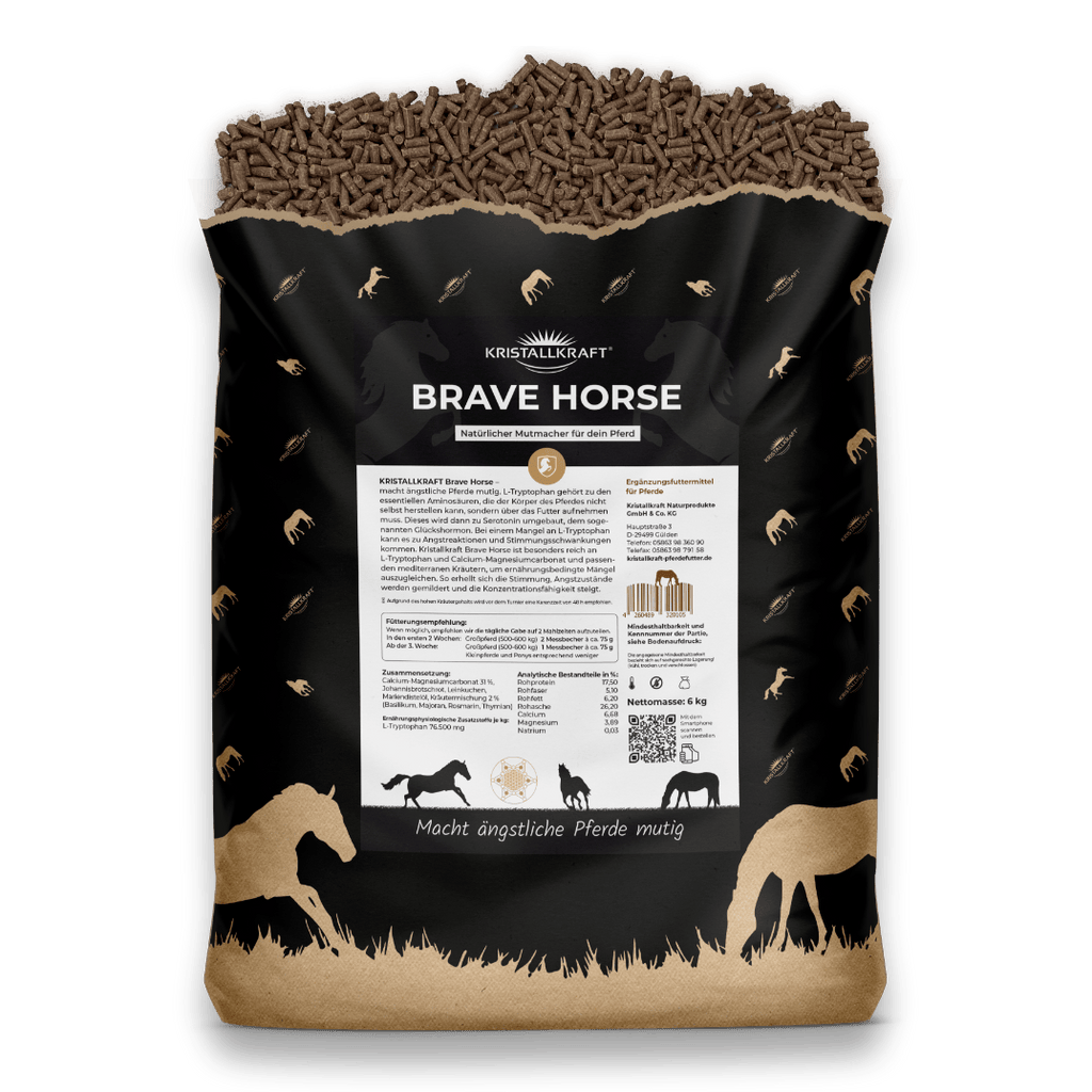 Kristallkraft Brave Horse