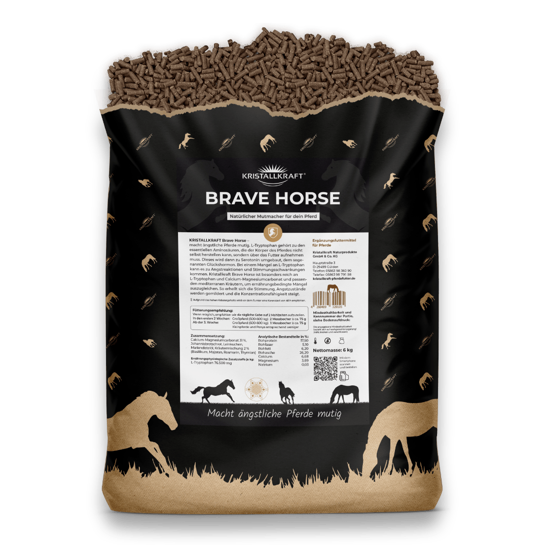 Kristallkraft Brave Horse