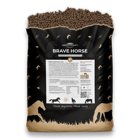 Kristallkraft Brave Horse