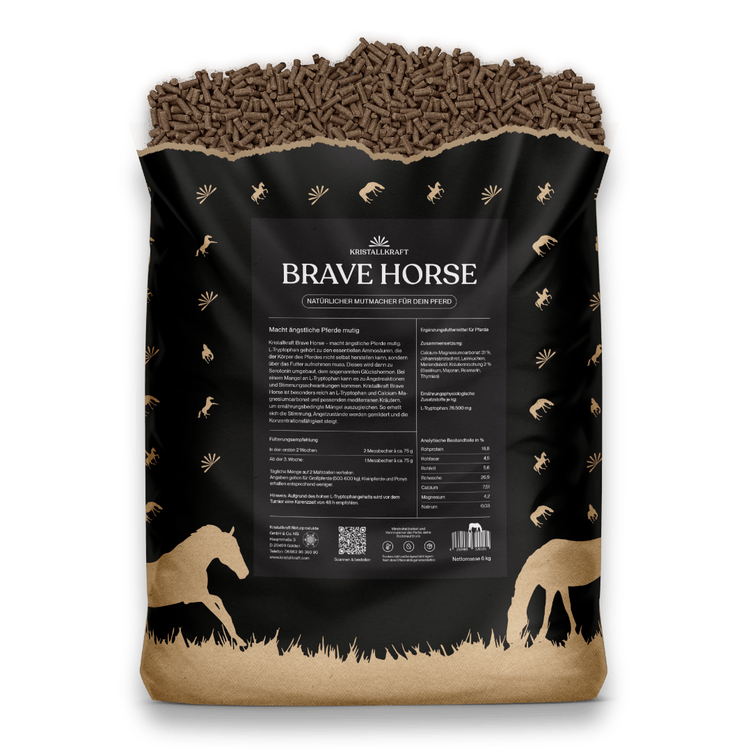 Kristallkraft Brave Horse