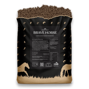 Kristallkraft Brave Horse