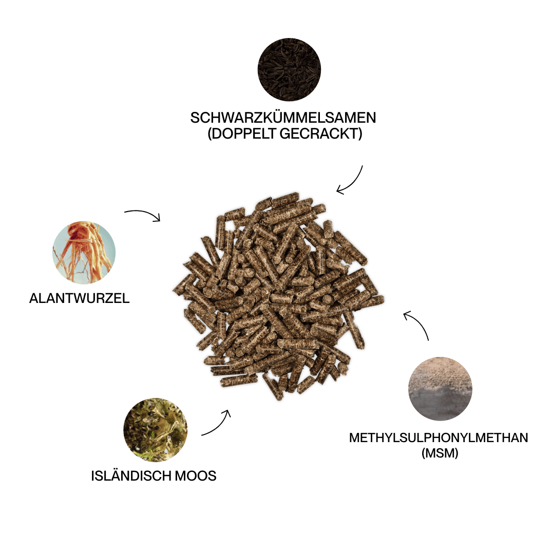 Kristallkraft Bronchiale
