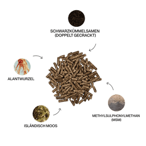 Kristallkraft Bronchiale