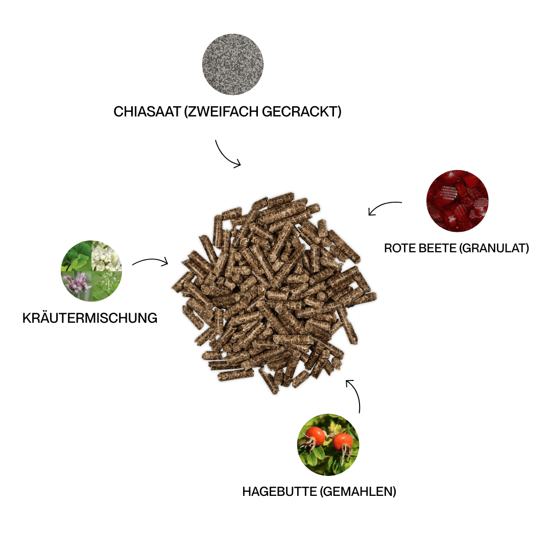 Kristallkraft Core