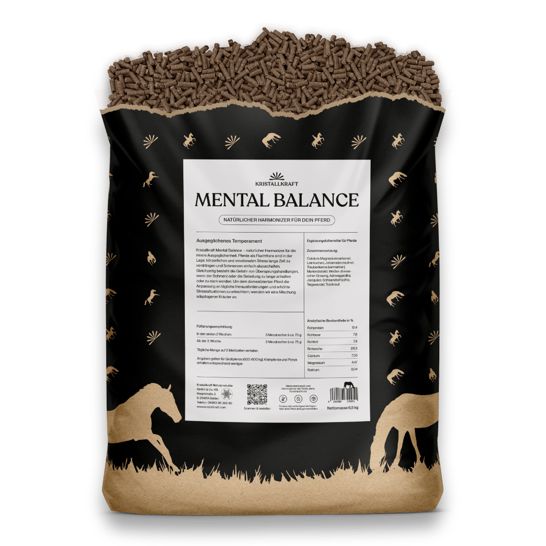 Kristallkraft Mental Balance