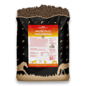 Kristallkraft Muscolo