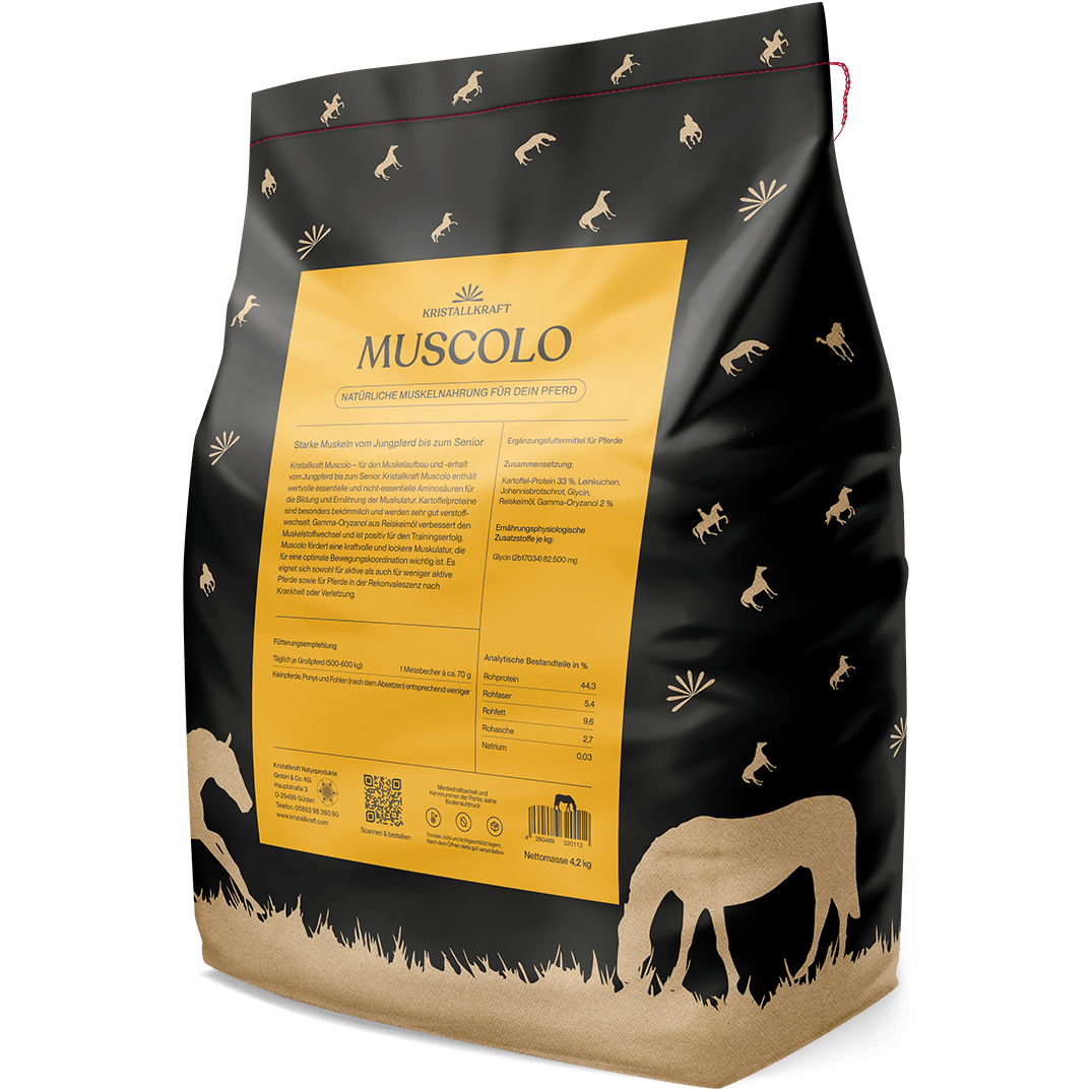 Kristallkraft Muscolo