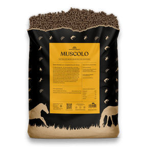 Kristallkraft Muscolo