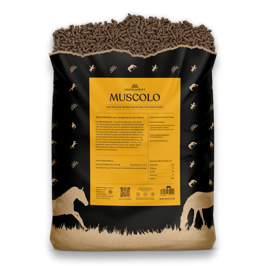 Kristallkraft Muscolo