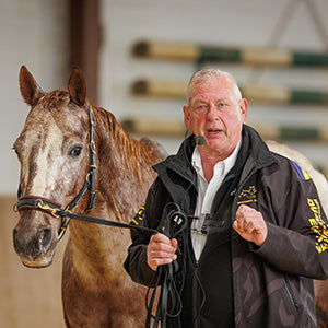 Michael Geitner, Pferdetrainer