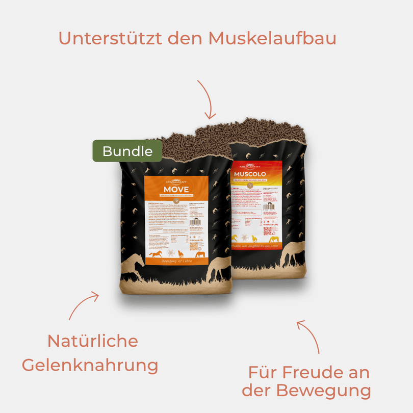 Kristallkraft Sportbundle Menu