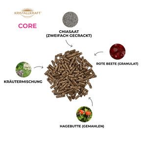 Summer Bundle