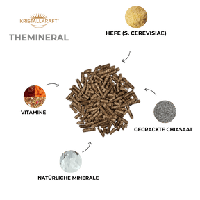 Summer Bundle