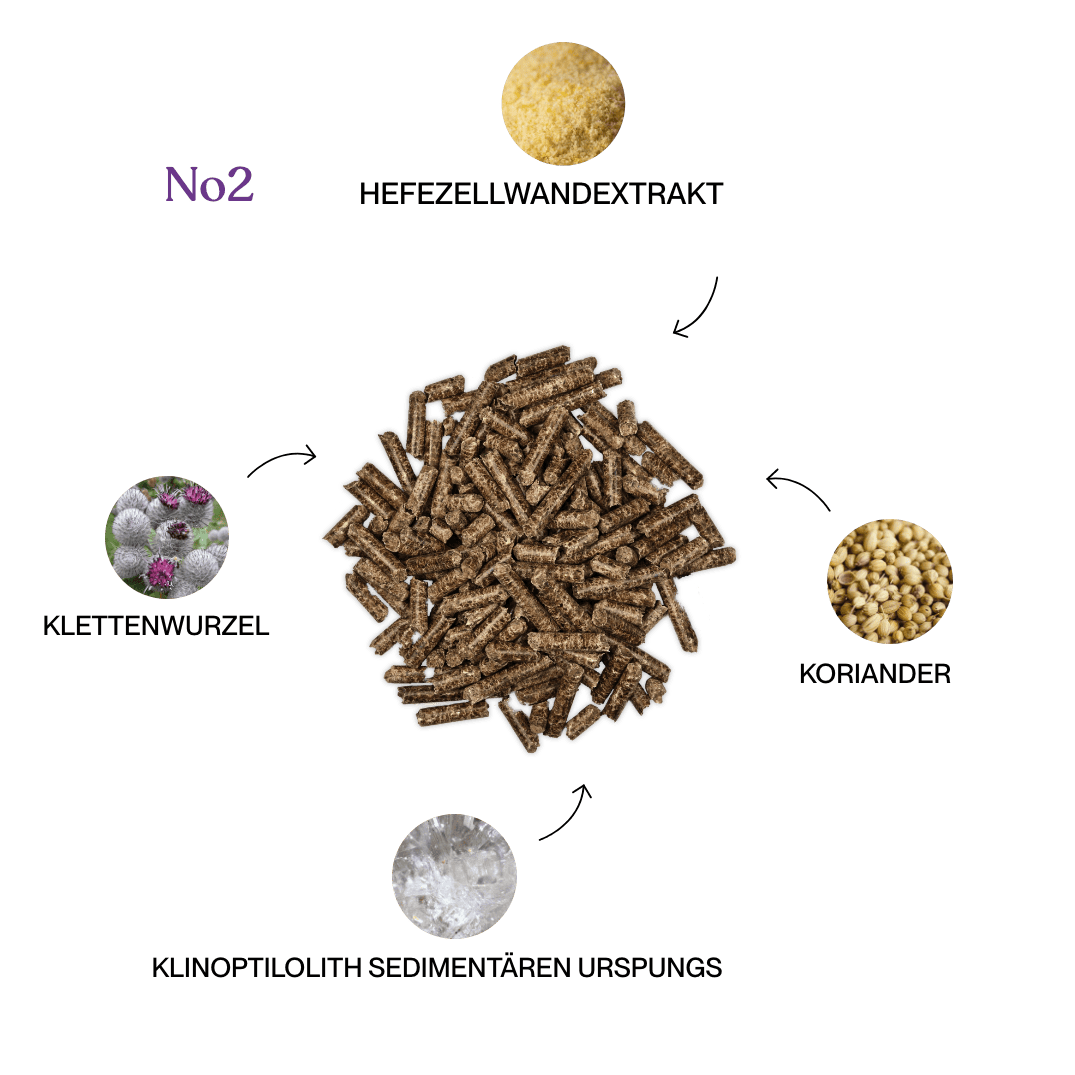 Weidezeit-Bundle
