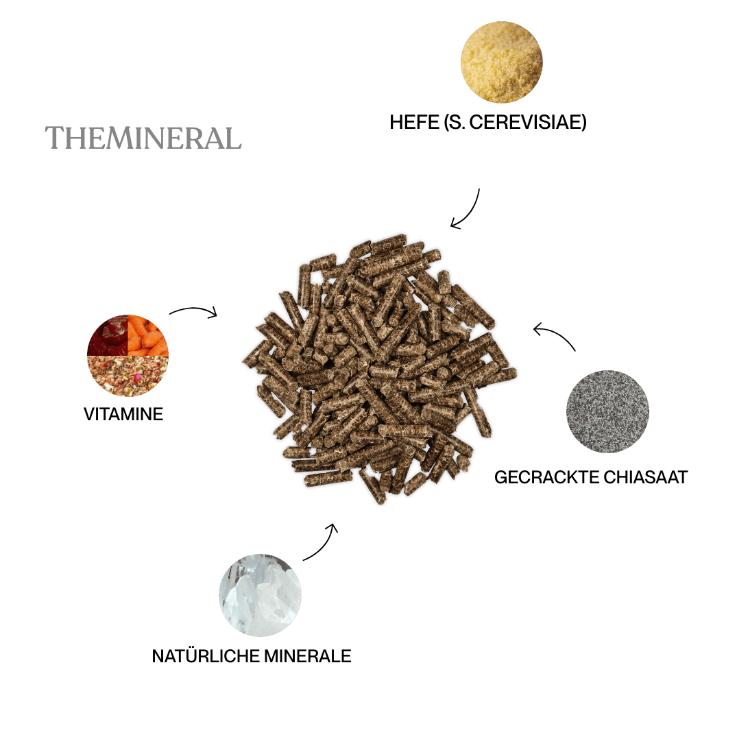 Weidezeit-Bundle